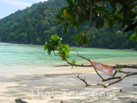 หาดไม้งาม