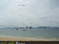 หาดป่าทราย