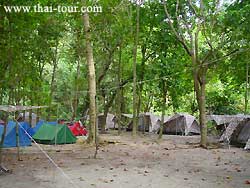 ที่พัก เต้นท์ริมหาด