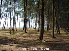 Laem Son National Park