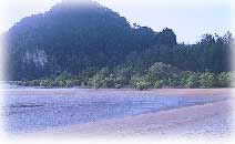 bay_paeta.jpg (4250 bytes)