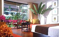 Amari Palm Reef Resort Samui : Deluxe Room