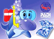 Blue Diamond Dive - Koh Tao