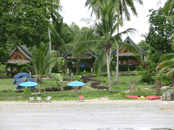 หน้าหาด สุกรคาบาน่า