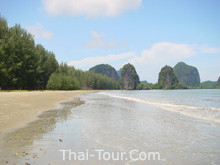 ชายหาดราชมงคล