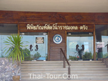 พิพิธภัณฑ์สัตว์น้ำราชมงคล