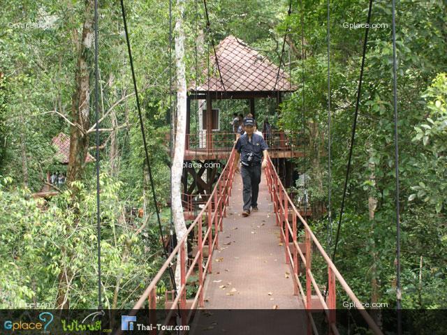 หมู่เกาะเภตรา