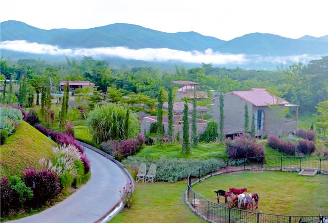 เขาใหญ่