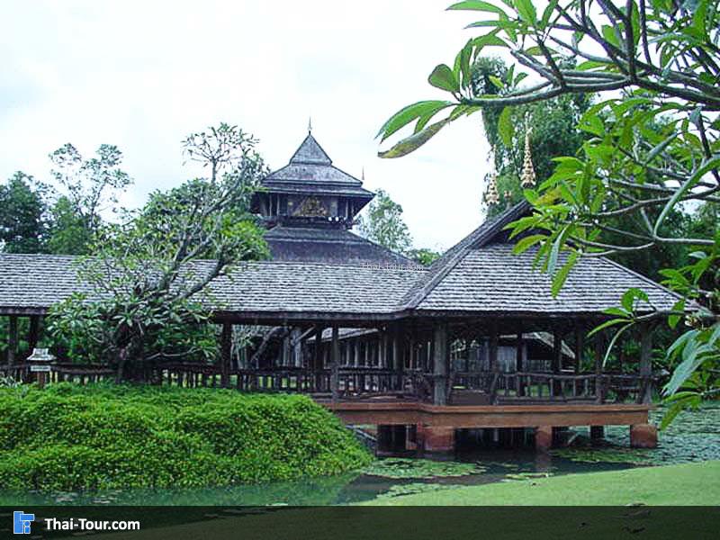 ไร่แม่ฟ้าหลวง