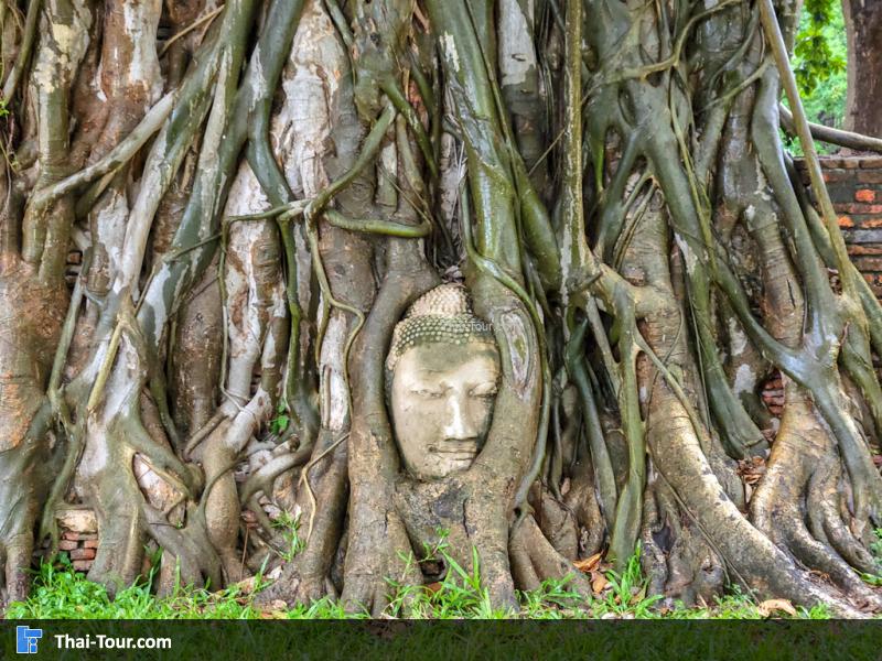 วัดมหาธาตุ