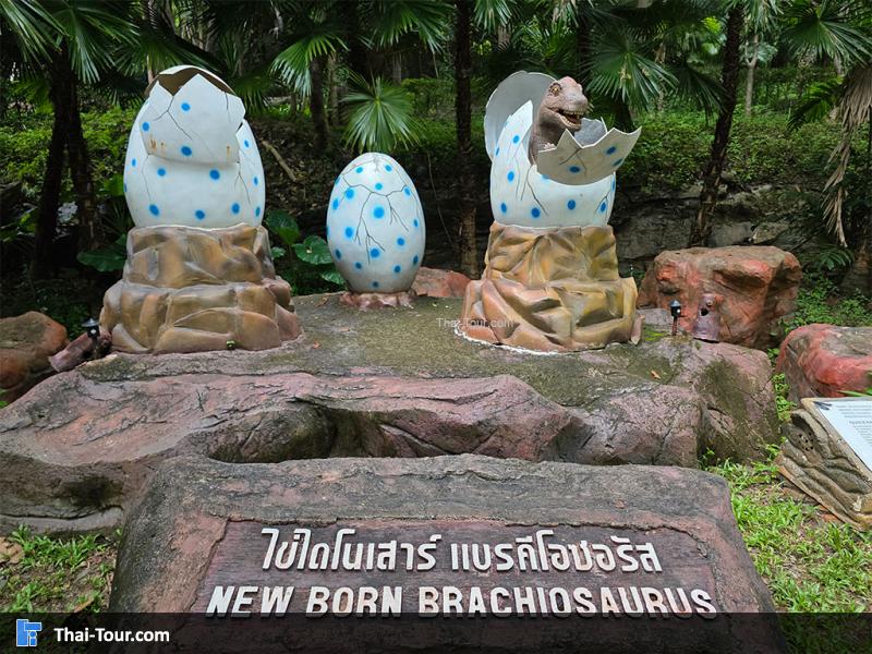 พิพิธภัณฑ์หอยหิน 150 ล้านปีและไดโนเสาร์โนนทัน