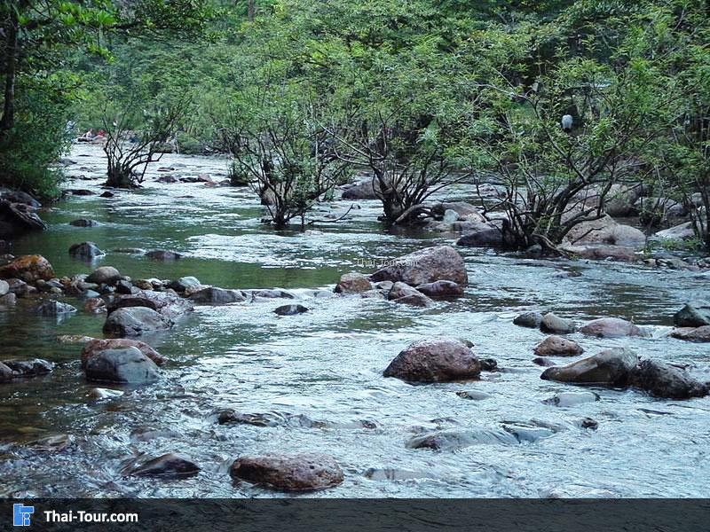 วังตะไคร้