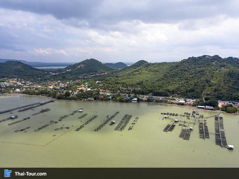 ทะเลสาบสงขลา