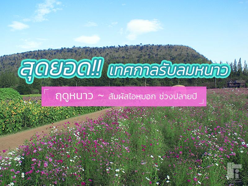 สุดยอดเทศกาลรับลมหนาว