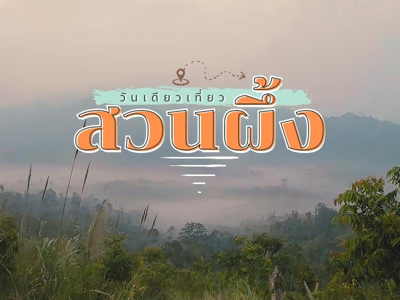 วันเดียว เที่ยวสวนผึ้ง