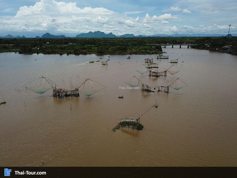 ศรีปากประ ยอยักษ์