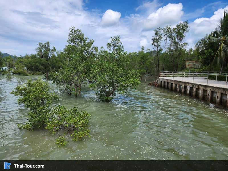 สวนเฉลิมพระเกียรติ เกาะยาวน้อย
