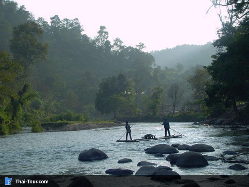 ป่าเกี๊ยะ (แม่ตะมาน)