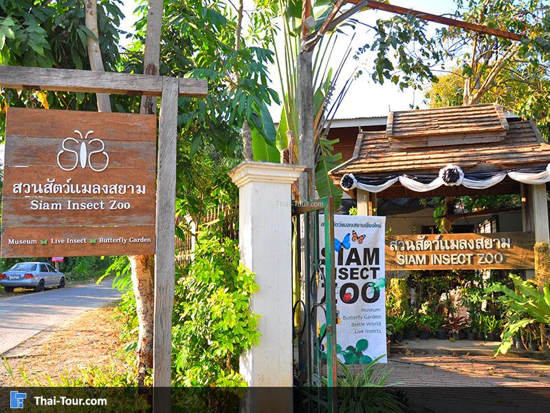 สวนสัตว์แมลงสยาม