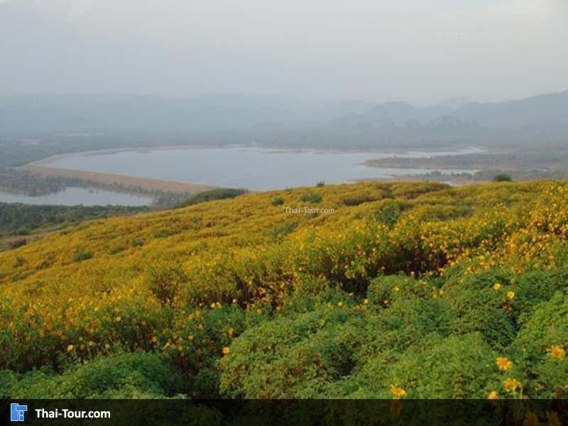 เหมืองลิกไนต์