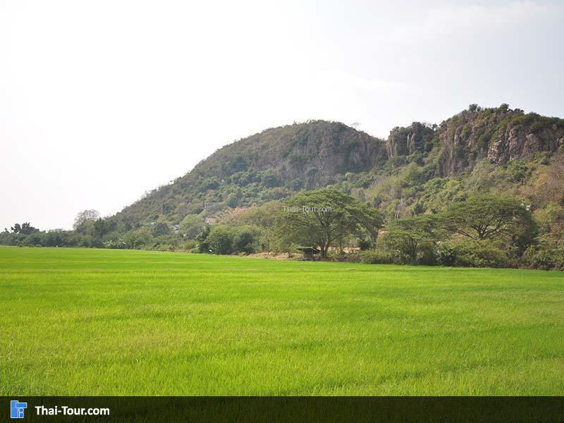 เขาสรรพยา