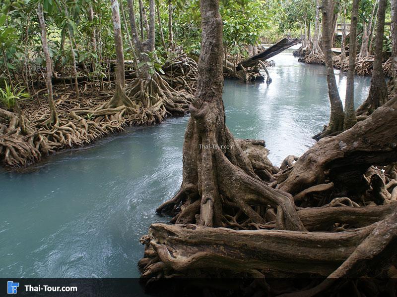 ท่าปอมคลองสองน้ำ