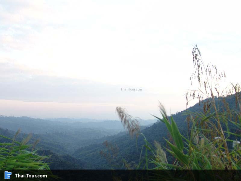 สักหง่า