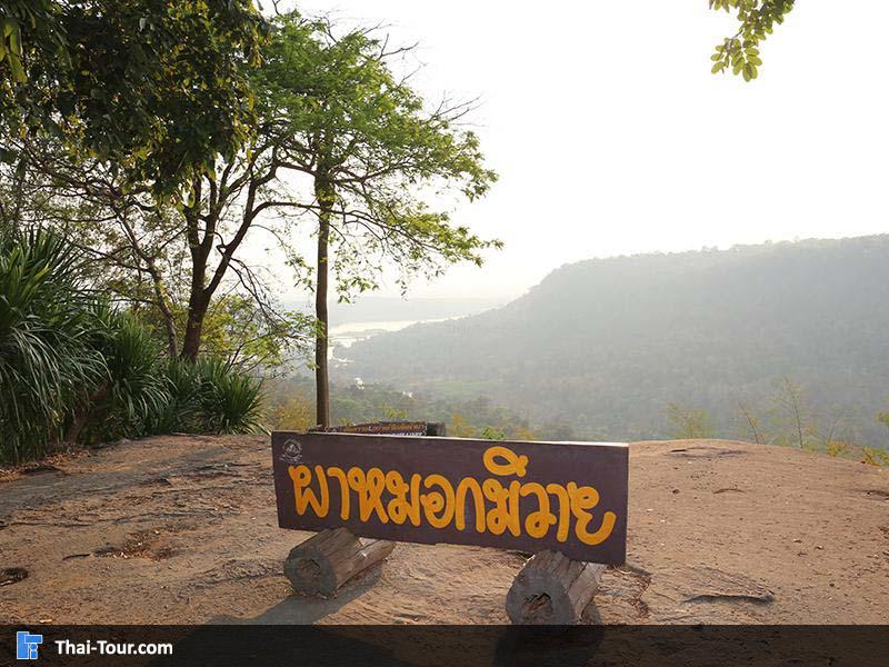 ผาหมอกมิวาย