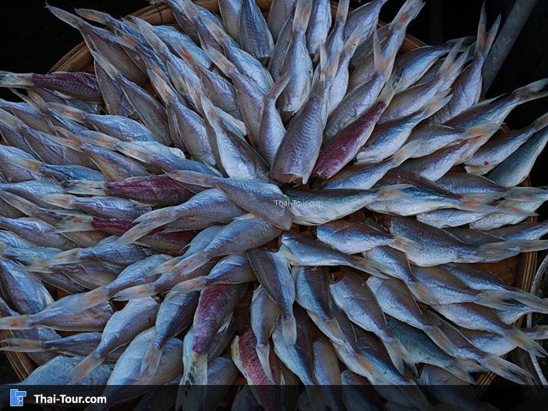 ตลาดสะพานปลาอ่างศิลา