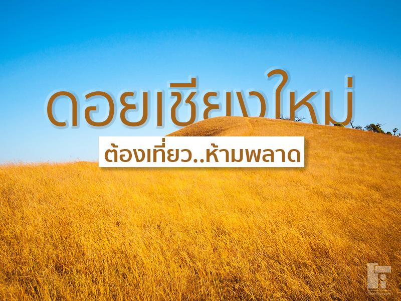 สุดยอดดอย เชียงใหม่ต้องเที่ยว
