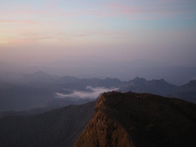 สันหนอกวัว