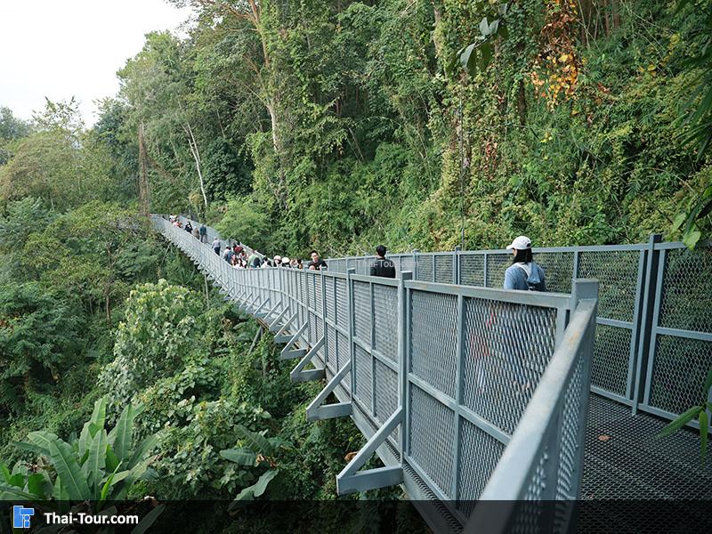 สวนพฤกษศาสตร์สมเด็จพระนางเจ้าสิริกิติ์