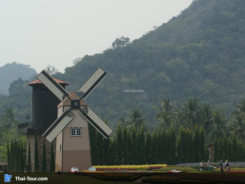 ซิลเวอร์เลค