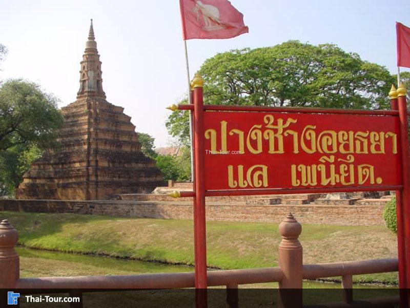 ปางช้าง (แลเพนียด)