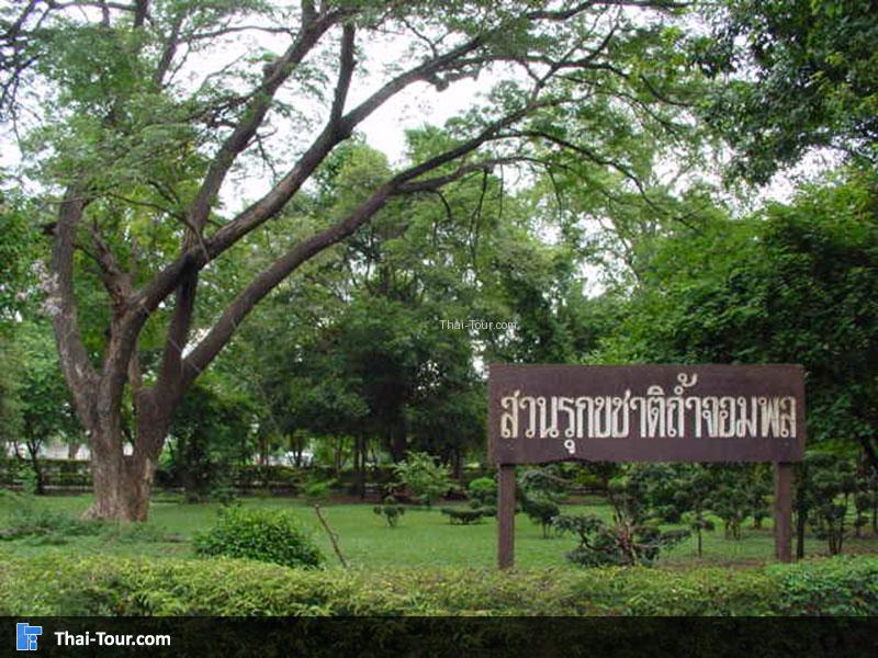 สวนรุกขชาติถ้ำจอมพล