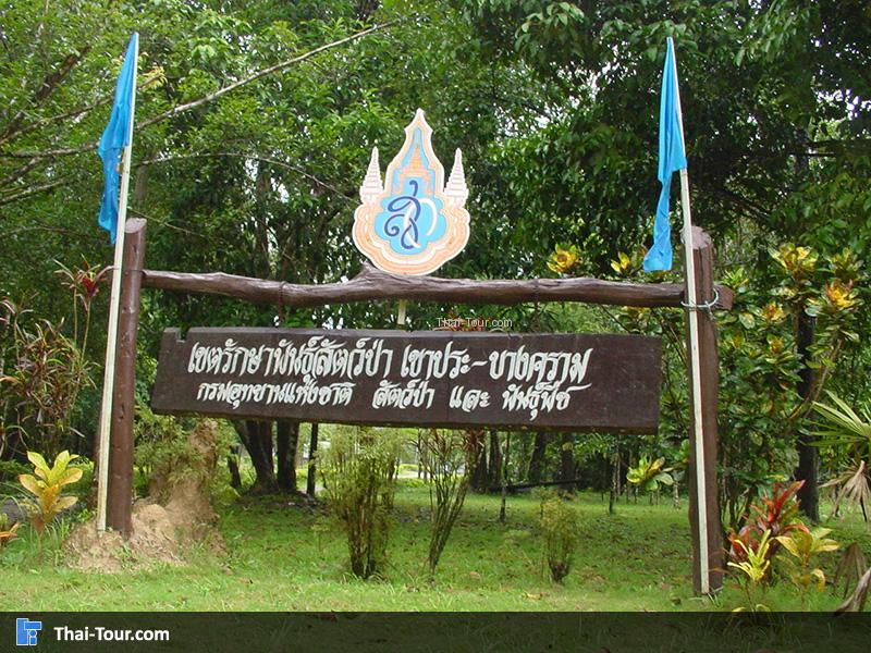 ป่าทุ่งเตียว