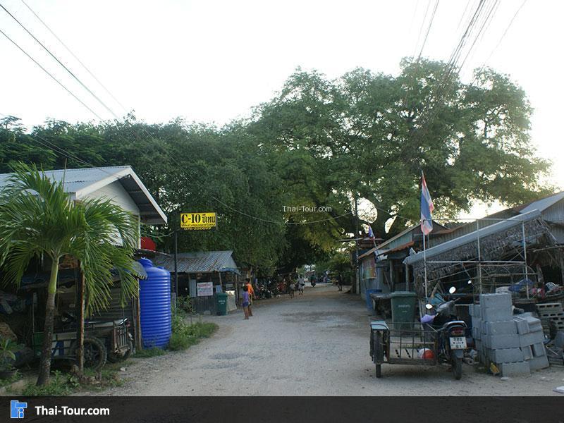 บ้านแหลมตุ๊กแก เกาะสิเหร่