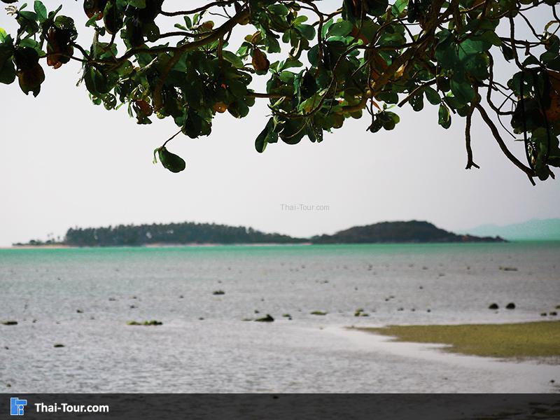 เกาะส้ม