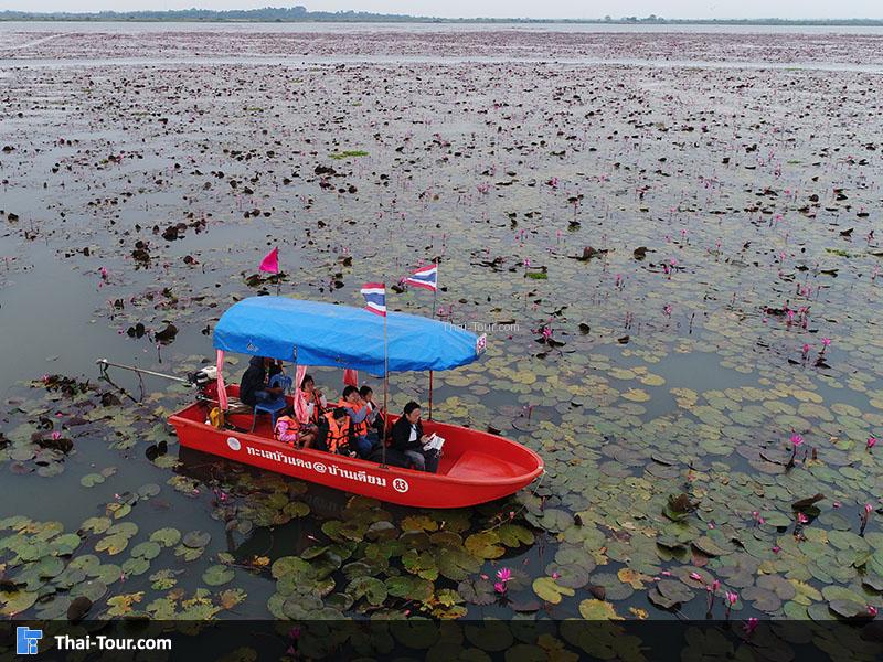 หนองบัวแดง กุมภวาปี
