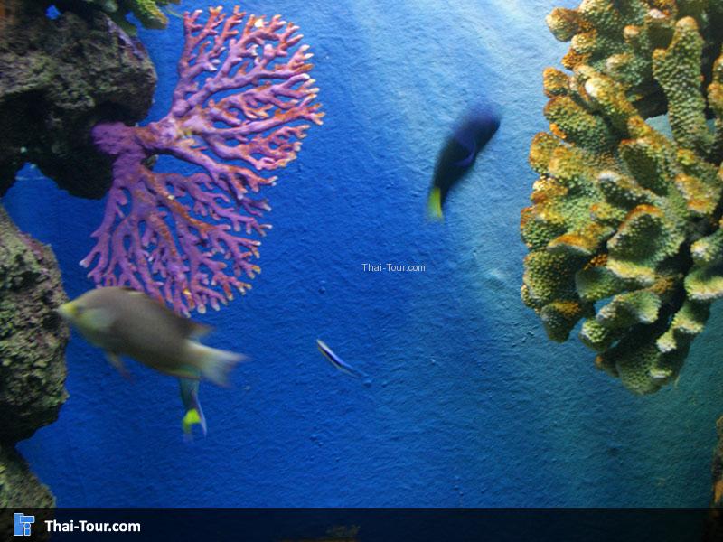 SEA LIFE Bangkok Ocean World