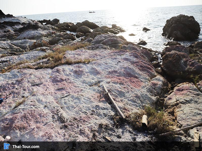 ลานหินสีชมพู เกาะเปริด
