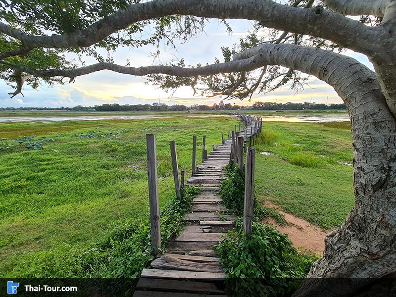 สะพานไม้แกดำ