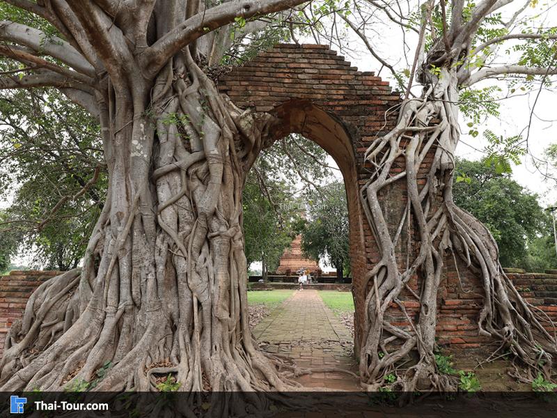 วัดพระงาม ประตูกาลเวลา