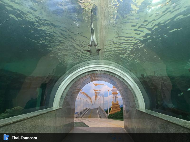 ศูนย์วิทยาศาสตร์เพื่อการศึกษานครพนม