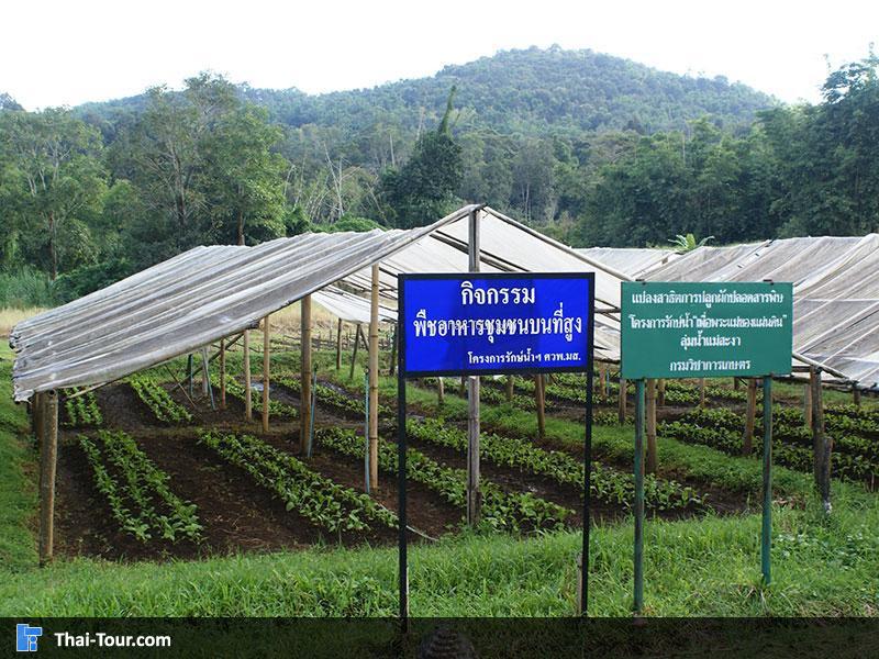 เรือนประทับแรมโป่งแดง