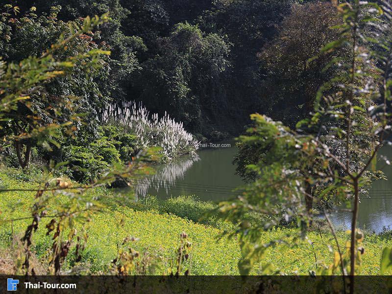 อ่างเก็บน้ำป่ากล้วย