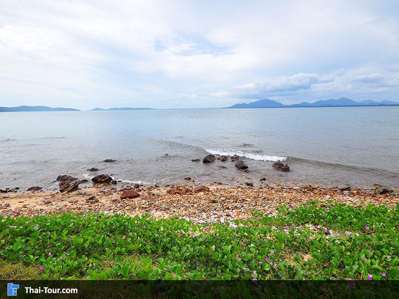 เกาะกุฎี