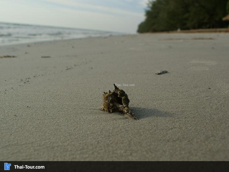 หาดบานชื่น