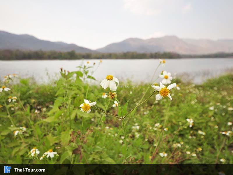 อ่างเก็บน้ำวังเฮือ