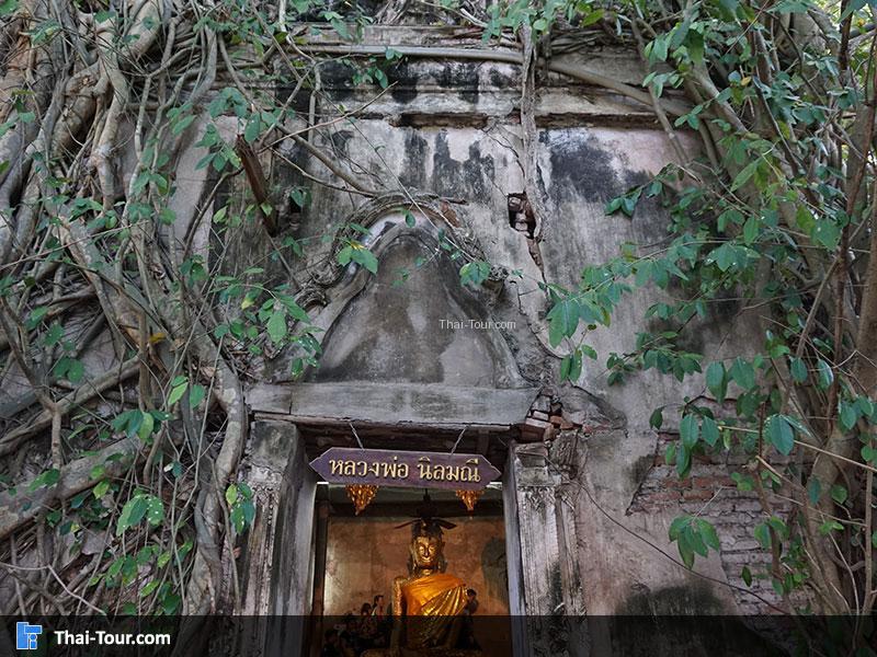 ค่ายบางกุ้ง